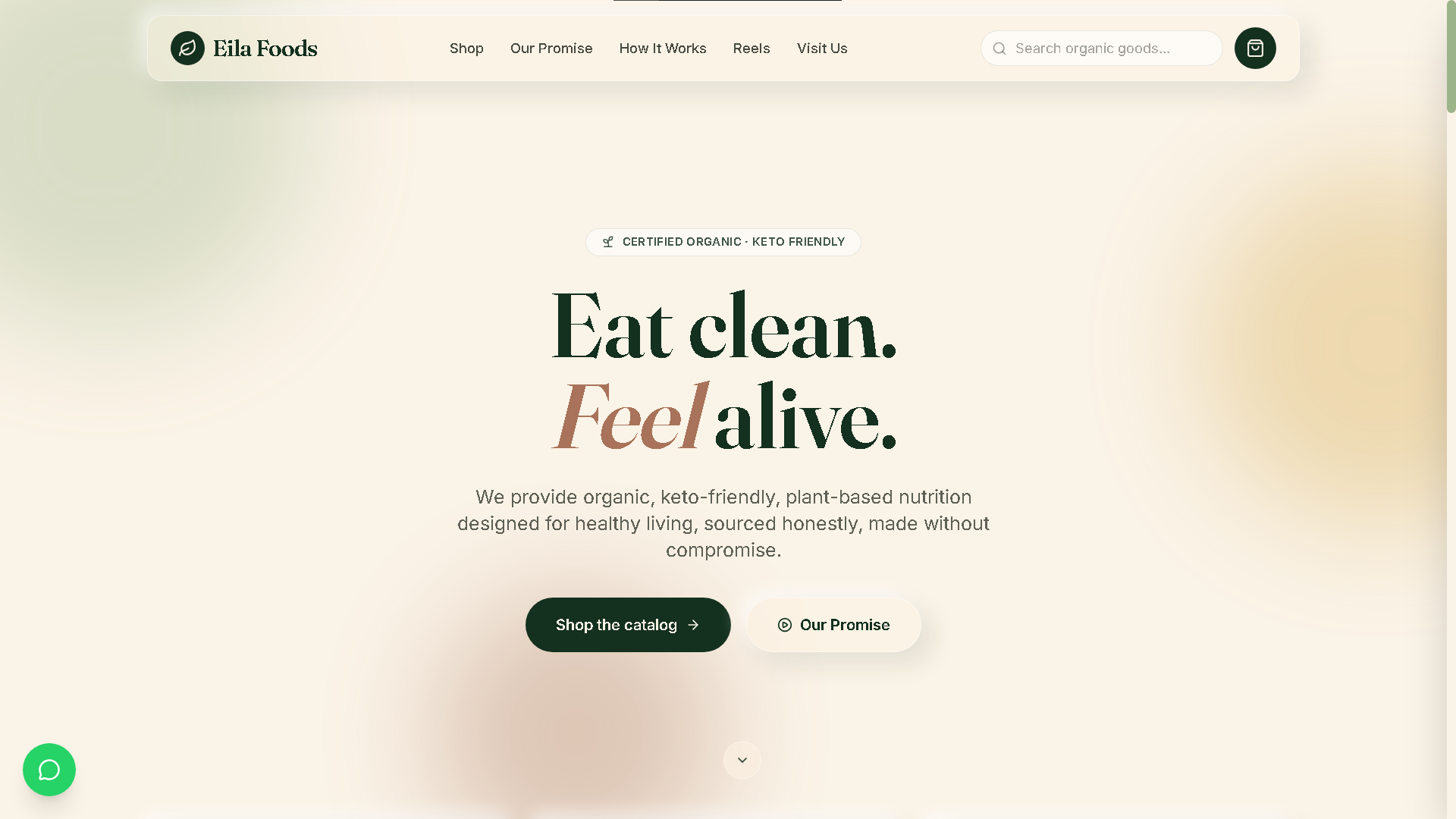 Eila Foods website screenshot